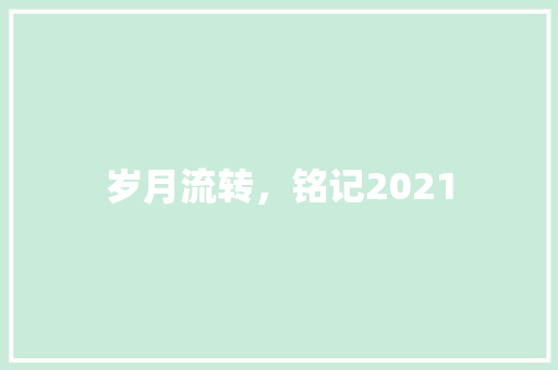 岁月流转，铭记2021