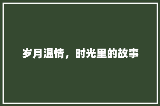 岁月温情，时光里的故事