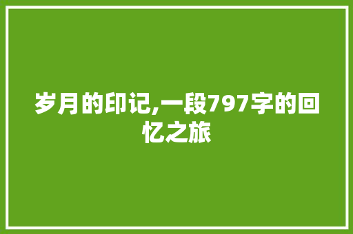 岁月的印记,一段797字的回忆之旅