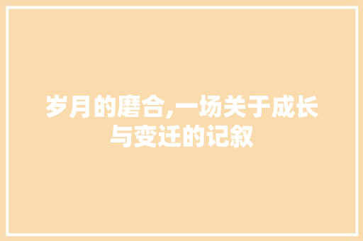 岁月的磨合,一场关于成长与变迁的记叙