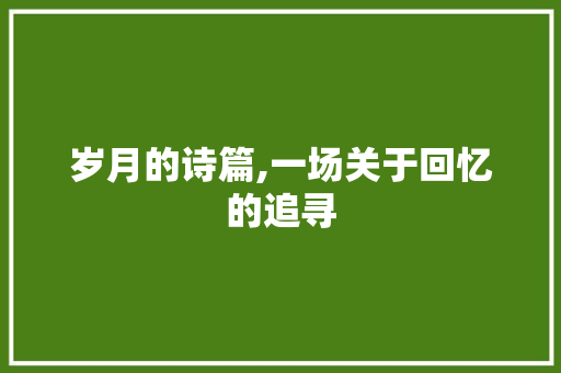 岁月的诗篇,一场关于回忆的追寻