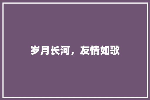 岁月长河，友情如歌