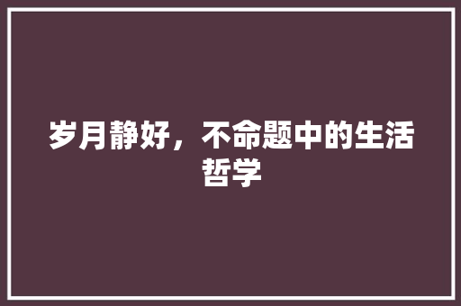 岁月静好，不命题中的生活哲学