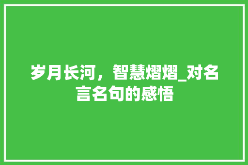 岁月长河，智慧熠熠_对名言名句的感悟