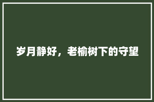 岁月静好，老榆树下的守望