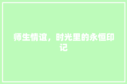 师生情谊，时光里的永恒印记