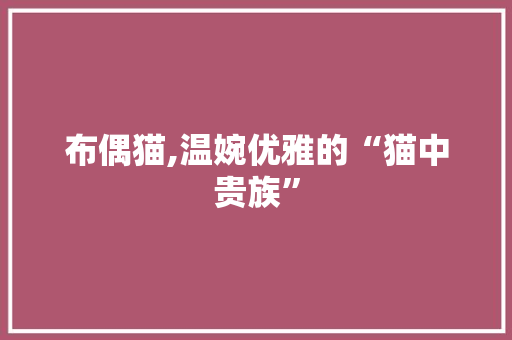 布偶猫,温婉优雅的“猫中贵族”