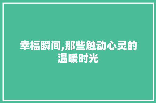 幸福瞬间,那些触动心灵的温暖时光