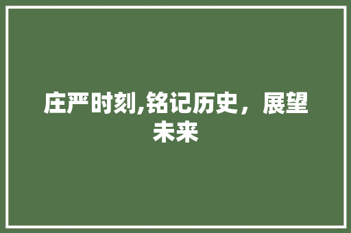 庄严时刻,铭记历史，展望未来