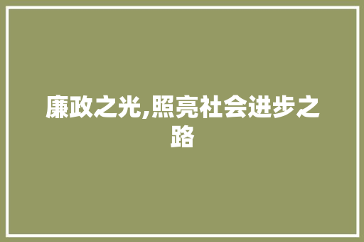 廉政之光,照亮社会进步之路