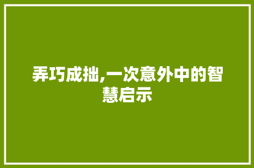 弄巧成拙,一次意外中的智慧启示