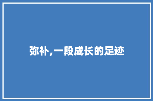 弥补,一段成长的足迹