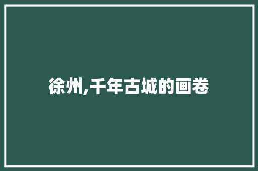 徐州,千年古城的画卷 报告范文