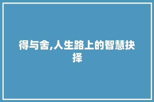 得与舍,人生路上的智慧抉择