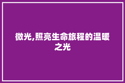 微光,照亮生命旅程的温暖之光