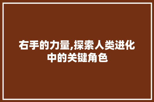 右手的力量,探索人类进化中的关键角色