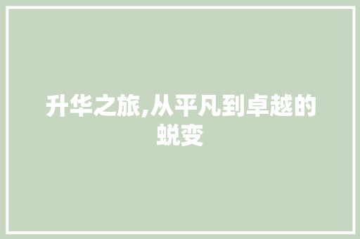 升华之旅,从平凡到卓越的蜕变 论文范文