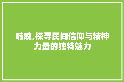 喊魂,探寻民间信仰与精神力量的独特魅力 求职信范文