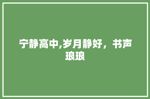 宁静高中,岁月静好，书声琅琅