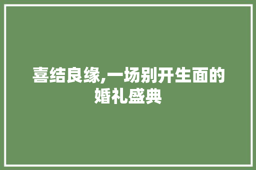 喜结良缘,一场别开生面的婚礼盛典