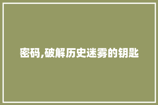 密码,破解历史迷雾的钥匙 求职信范文