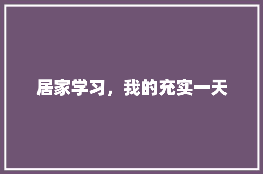 居家学习，我的充实一天