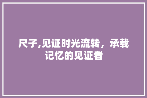 尺子,见证时光流转，承载记忆的见证者