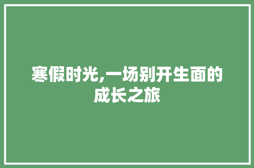 寒假时光,一场别开生面的成长之旅