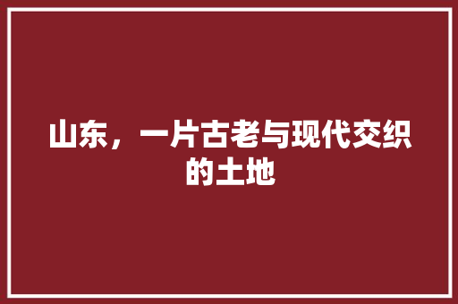 山东，一片古老与现代交织的土地 会议纪要范文