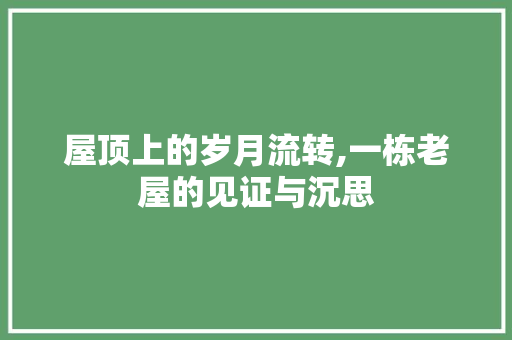 屋顶上的岁月流转,一栋老屋的见证与沉思