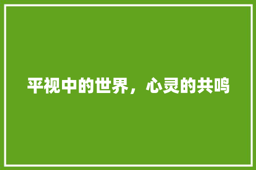 平视中的世界，心灵的共鸣