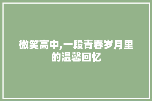 微笑高中,一段青春岁月里的温馨回忆