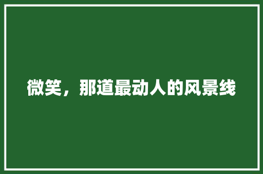 微笑，那道最动人的风景线 学术范文