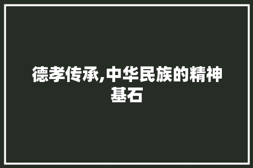 德孝传承,中华民族的精神基石 报告范文