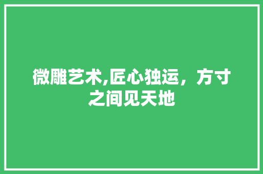 微雕艺术,匠心独运，方寸之间见天地