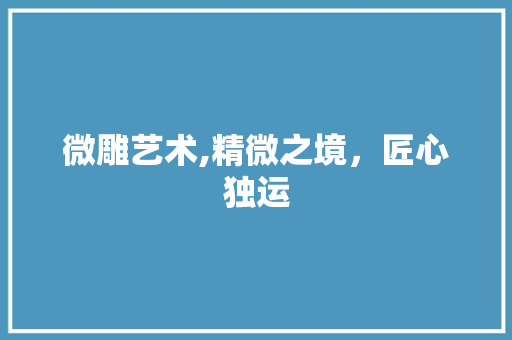 微雕艺术,精微之境，匠心独运