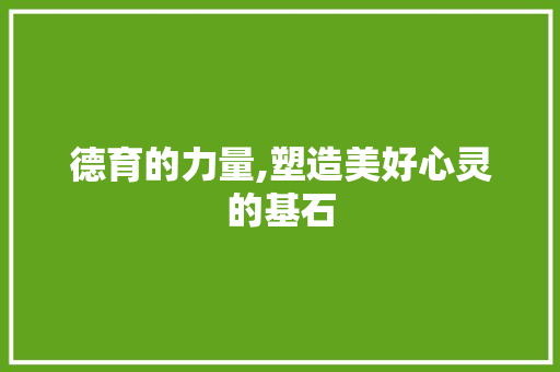 德育的力量,塑造美好心灵的基石