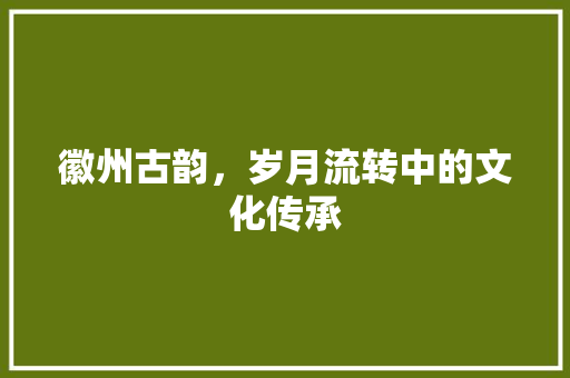 徽州古韵，岁月流转中的文化传承 申请书范文