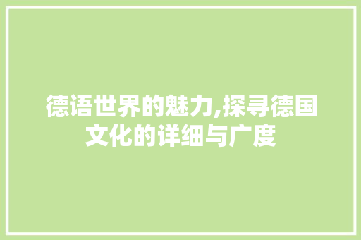 德语世界的魅力,探寻德国文化的详细与广度