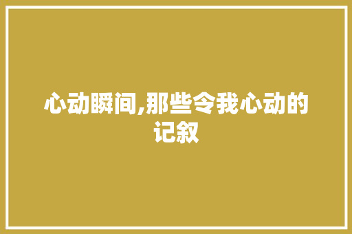 心动瞬间,那些令我心动的记叙