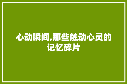 心动瞬间,那些触动心灵的记忆碎片 简历范文