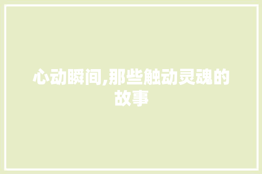 心动瞬间,那些触动灵魂的故事 申请书范文