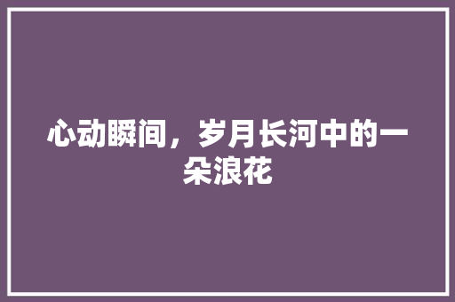 心动瞬间，岁月长河中的一朵浪花 生活范文