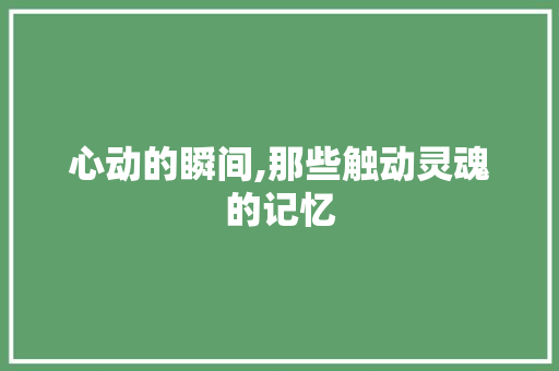 心动的瞬间,那些触动灵魂的记忆