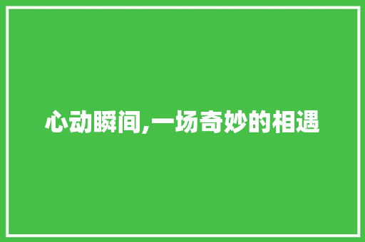 心动瞬间,一场奇妙的相遇