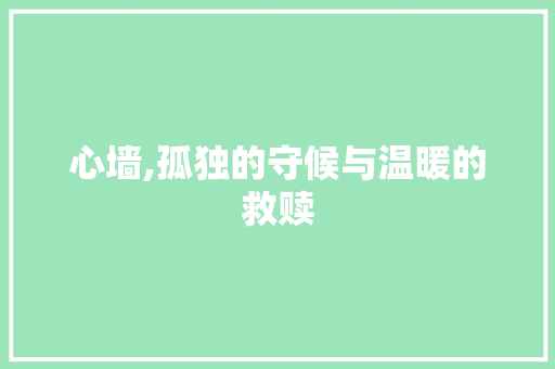 心墙,孤独的守候与温暖的救赎