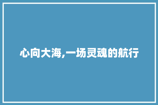 心向大海,一场灵魂的航行