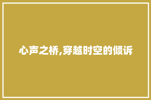 心声之桥,穿越时空的倾诉 致辞范文