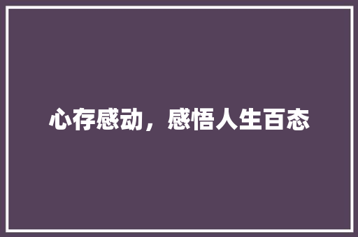 心存感动，感悟人生百态