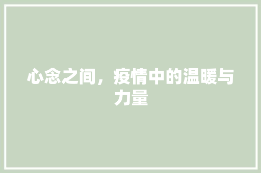 心念之间，疫情中的温暖与力量 演讲稿范文